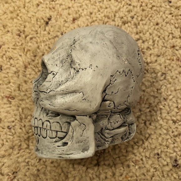 Human Skull Halloween decoration . Scary Good lifelike display - Picture 3 of 6